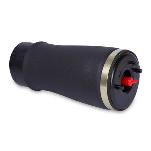 Rear Air Shocks for  BMW E53 models (Right)