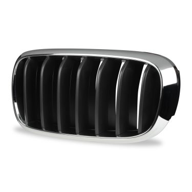 Front Kidney Grille for BMW F15 model (Left)