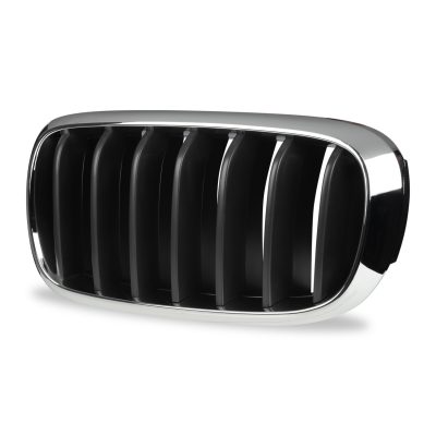 Front Kidney Grille for BMW F15 model (Left)