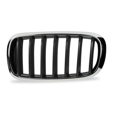 Front Kidney Grille for BMW F15 model (Left) - Image 2