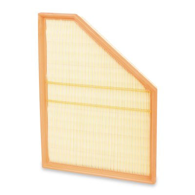 Air Filter for BMW X5 E70 N62N engine (Left)