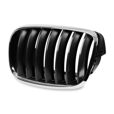 Front Kidney Grille for BMW X5 E70 and X6 E71 models (Left)