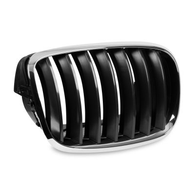 Front Kidney Grille for BMW X5 E70 and X6 E71 models (Right)