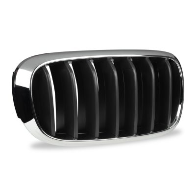 Kidney Grille for BMW X5 F15 model (Right)