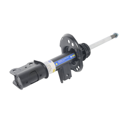 Front Shock absorber for Mercedes W246 model (Left)